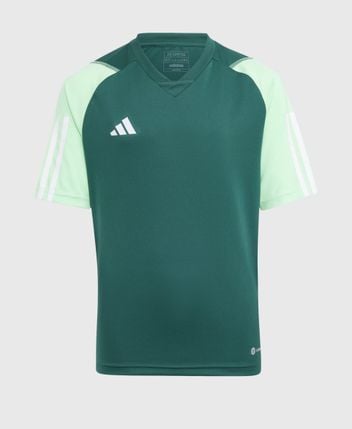 Functional shirt