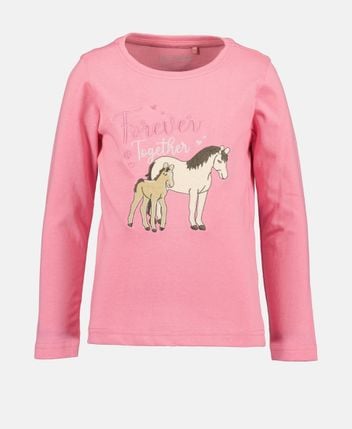 Long-sleeved top