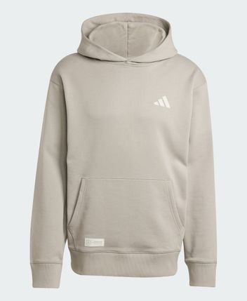 Hooded pullover DC BRACKLEY