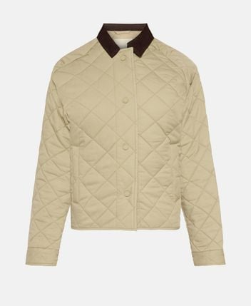 Transitional jacket