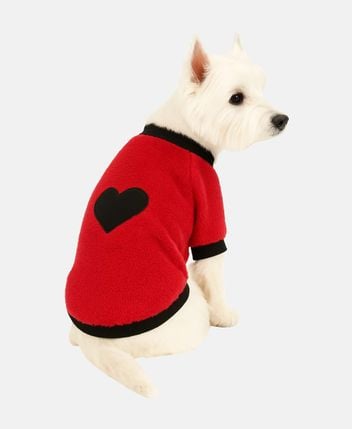 Dog jumper