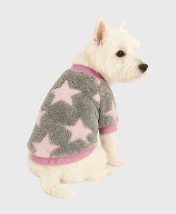 Dog jumper