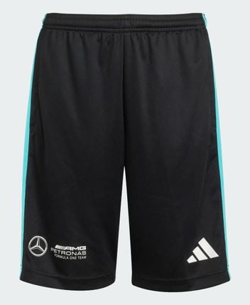 Shorts DC BRACKLEY