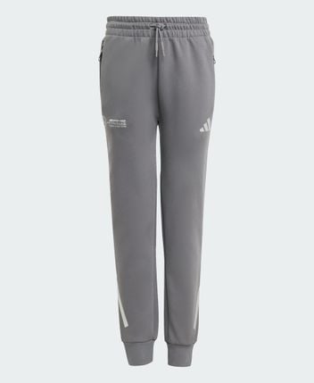 Training pants DC BRACKLEY