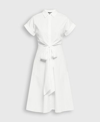 Shirtwaist dress