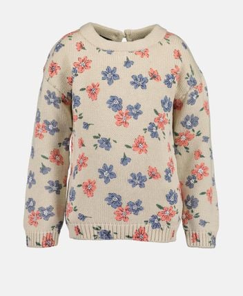 Long-sleeved jumper