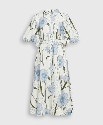 Shirtwaist dress