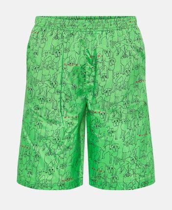 Swimming shorts