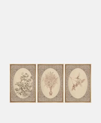 Framed pictures, set of 3