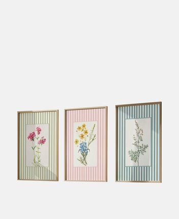 Framed pictures, set of 3