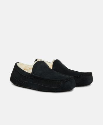 Slippers Ascot