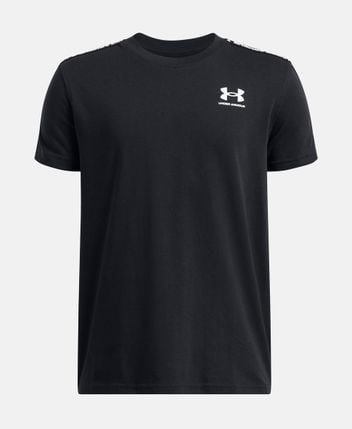 Crew neck t-shirt Icon