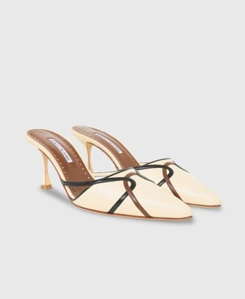 Mules Ragheb