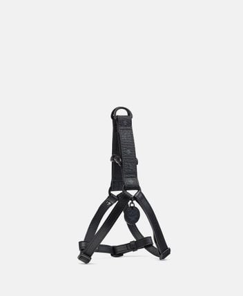 Dog harness