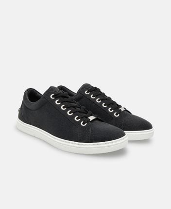 Sneakers Cash