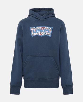 Hoodie Big Dipper