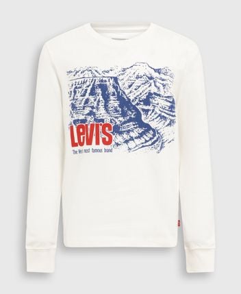 Long-sleeved top