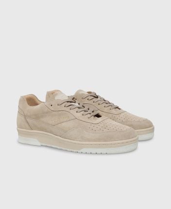 Sneakers Ace