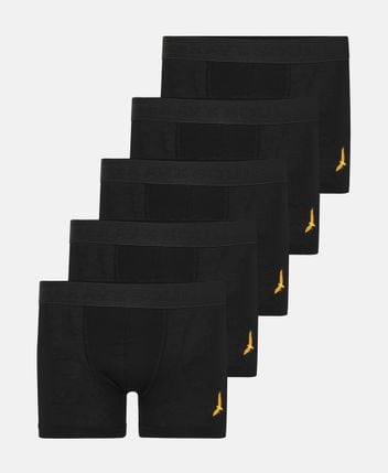 Boxer briefs, pack of 5 Arlo