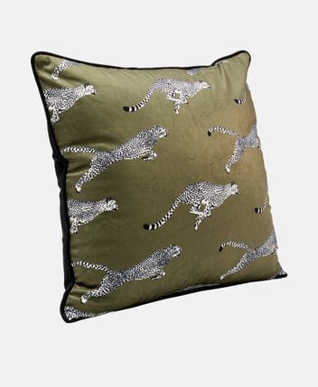 Cushion