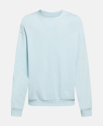 Sweatshirt B1b Reaeated