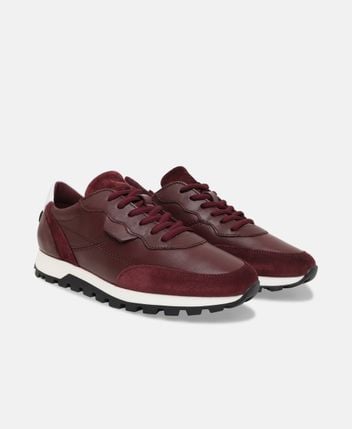 Sneakers Milo