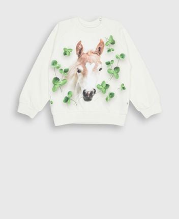 Sweatshirt Disc