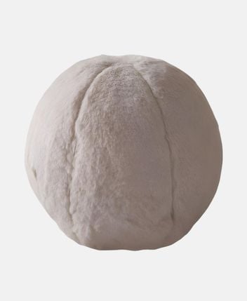 Cushion