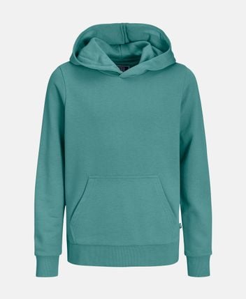 Hoodie Ebradley