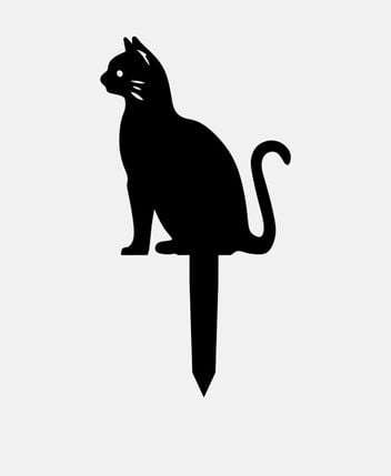 Poster board Cat