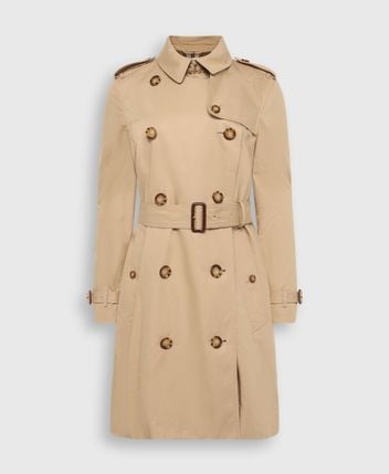 Trench coat