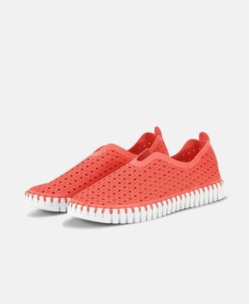 Slip-on sneakers Tulip