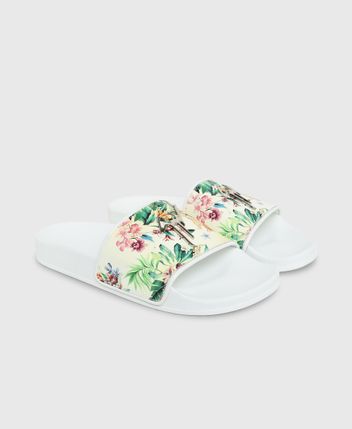 Slides Maxipot