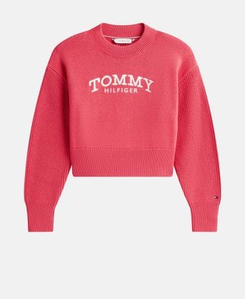 Long-sleeved jumper