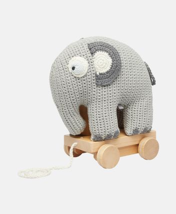 Pull Along Toy