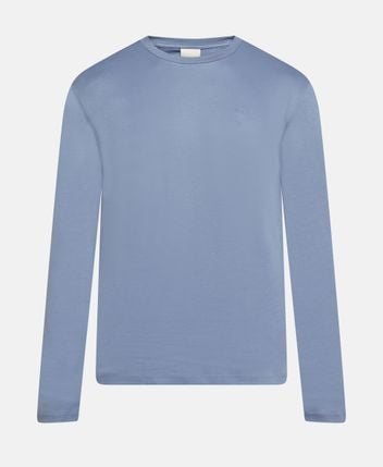 Long-sleeved top