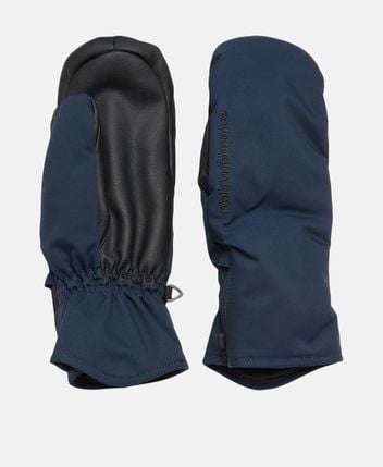 Ski gloves