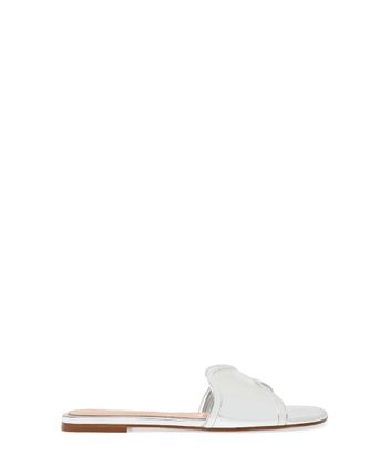 Slides