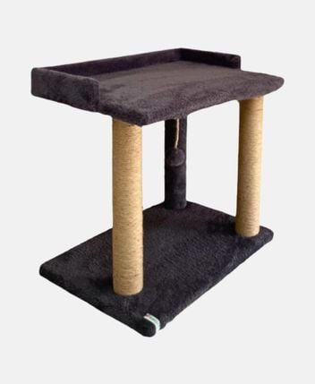 Cat bed