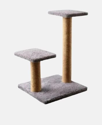 Cat lounge Luzi