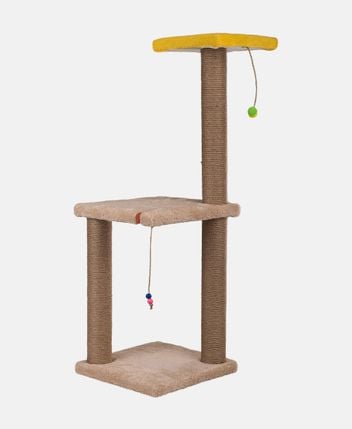 Cat lounge Iki Katli