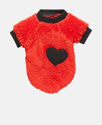 Dog jumper
