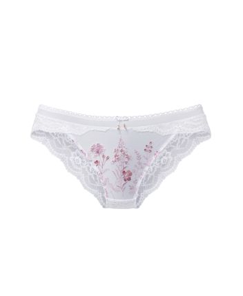 Briefs
