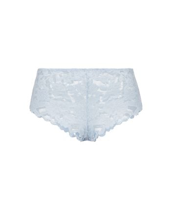 Briefs