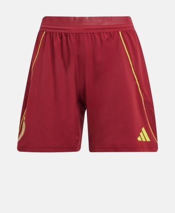 Shorts DFB PRO