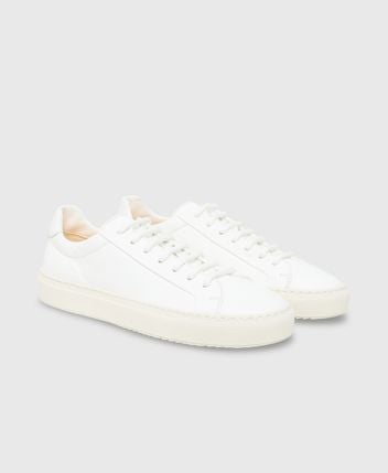 Sneakers Plonge