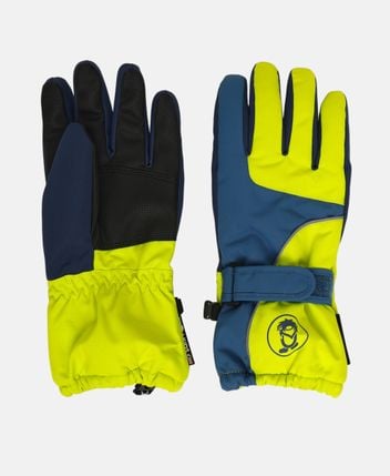 Ski gloves Troll