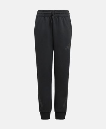 Sweat pants J Z.N.E. PT