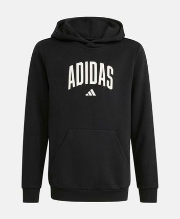 Hoodie Collegeiate