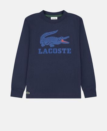 Long-sleeved top